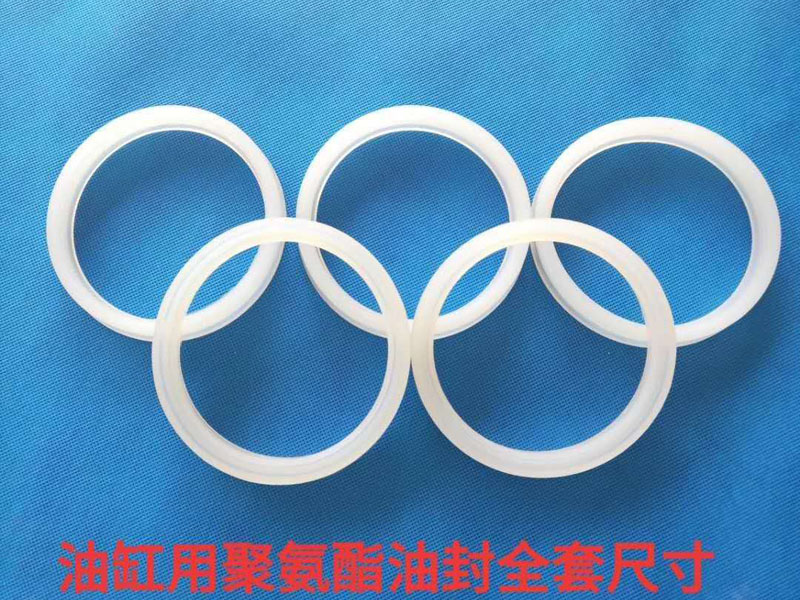 油缸用氟膠加布V型（xíng）組合（hé）油封